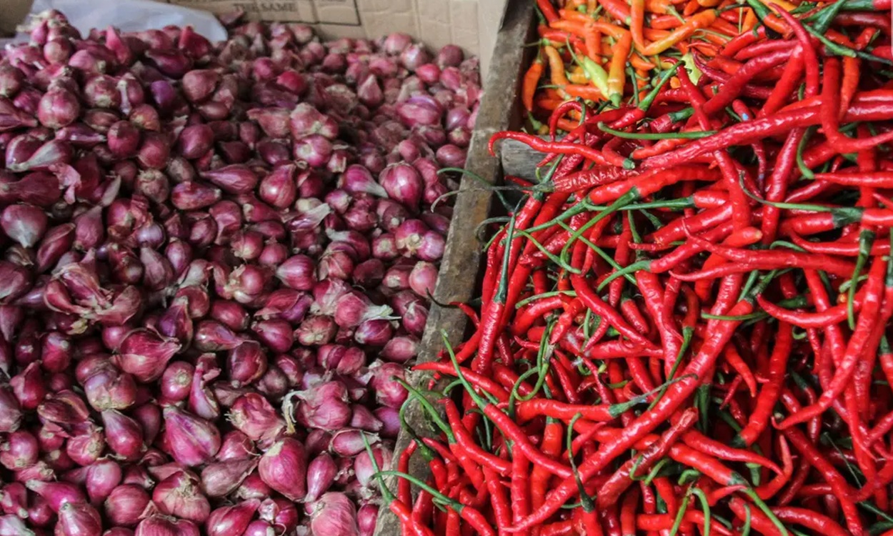 Update Harga Pangan Malut: Cabe Merah Makin Pedas, Bawang Merah Turun