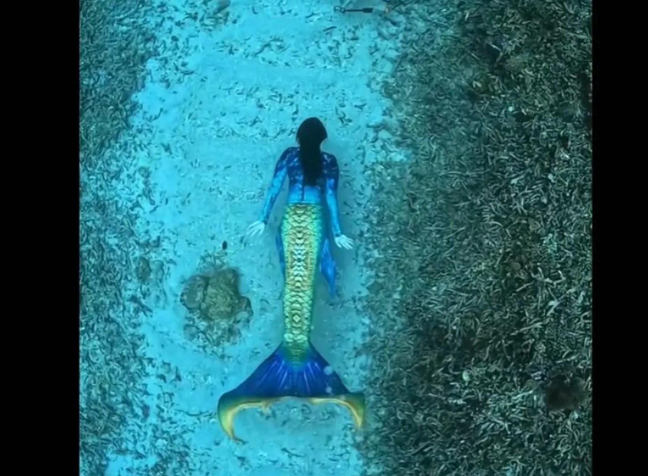 Misi Besar Sherly Tjoanda: Ubah Maluku Utara Jadi Destinasi Diving Kelas Dunia