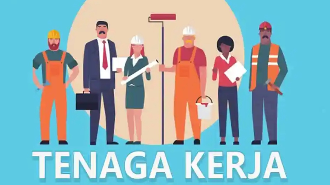 Tren Ketenagakerjaan Maluku Utara 2025: Partisipasi Angkatan Kerja Naik, Pengangguran Bertambah