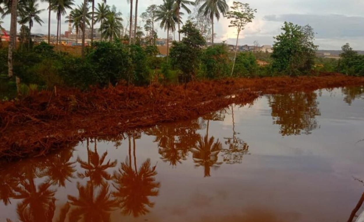 PARAH! Pertambangan di Malut Picu Pencemaran, Ikan Teluk Obi dan Weda Tak Layak Konsumsi!