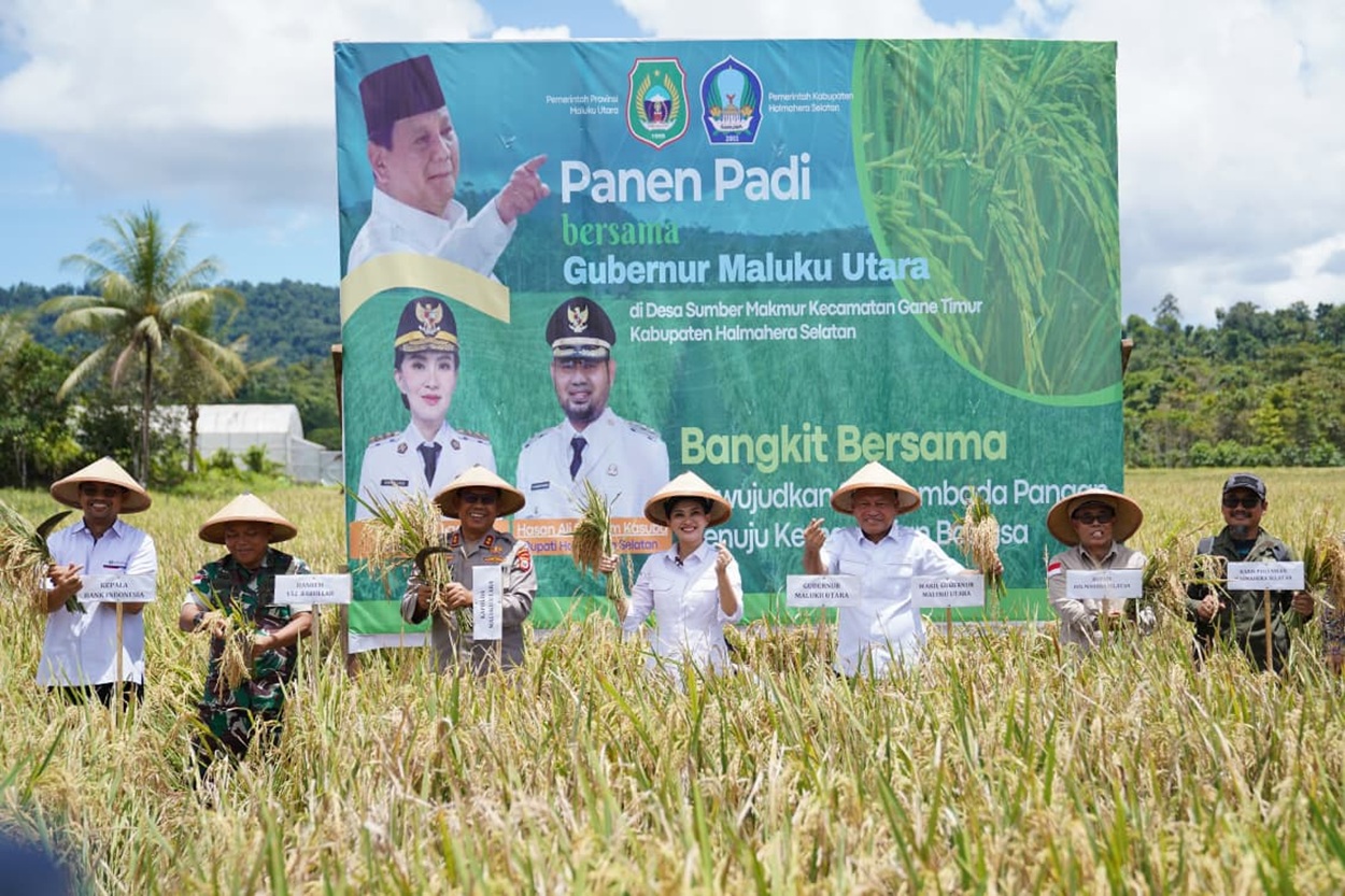 Maluku Utara Gaspol Penguatan Ketahanan Pangan: Strategi Cerdas Menuju Kemandirian