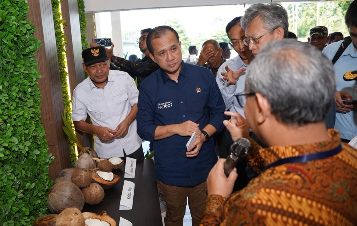 Maluku Utara Bersiap Jadi Episentrum Industrialisasi Kelapa Nasional