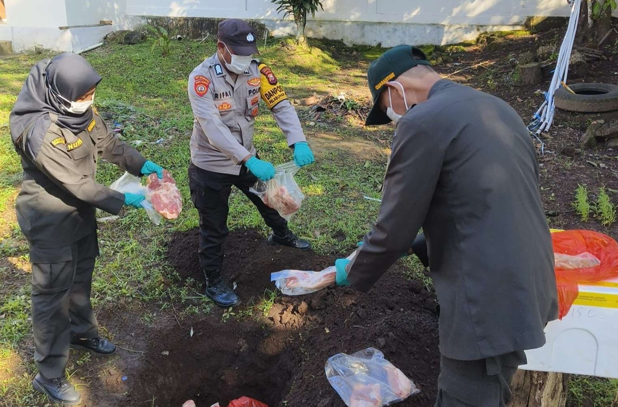 Karantina Maluku Utara Musnahkan 100 Kg Daging Babi