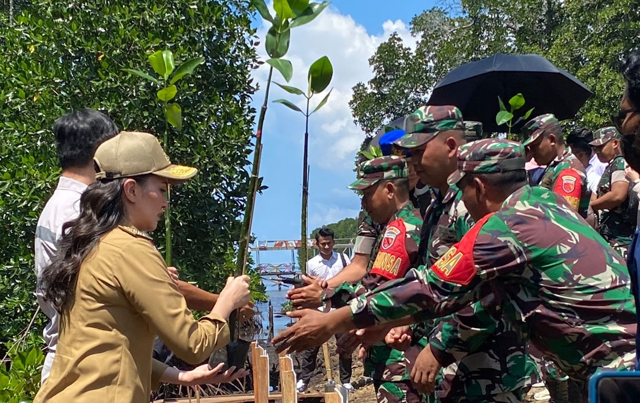 Stop Tebang Mangrove! Gubernur Sherly Bersama TNI & Masyarakat Gerakkan Revitalisasi Ekosistem