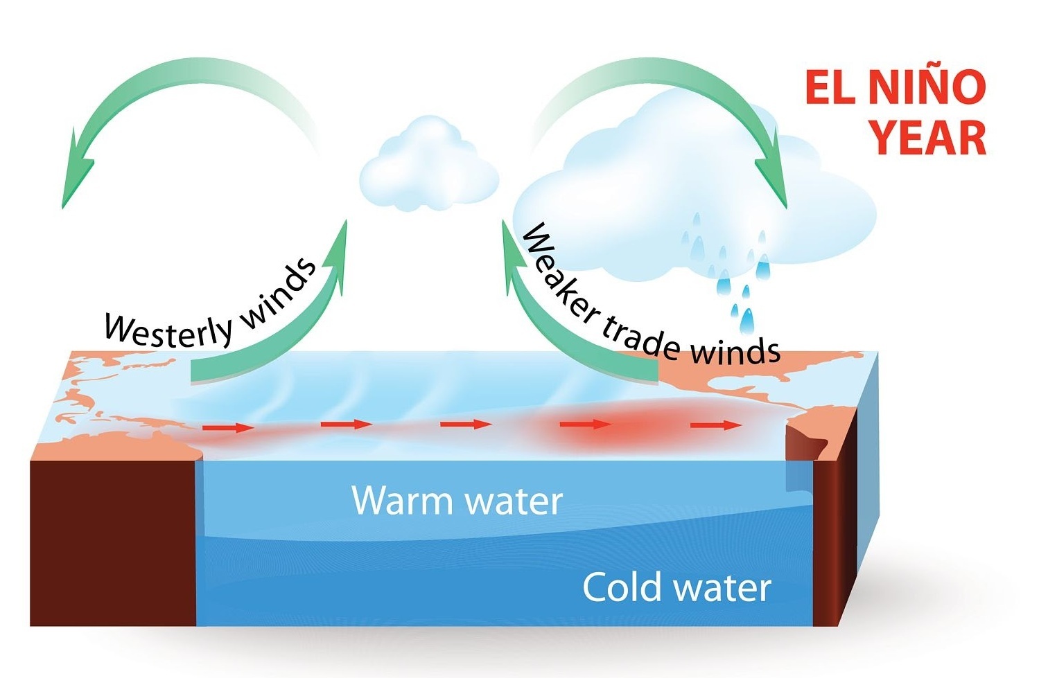 El Nino Sangat Kuat Mengintai Maluku Utara, 6 Wilayah Terancam Kekeringan Ekstrem