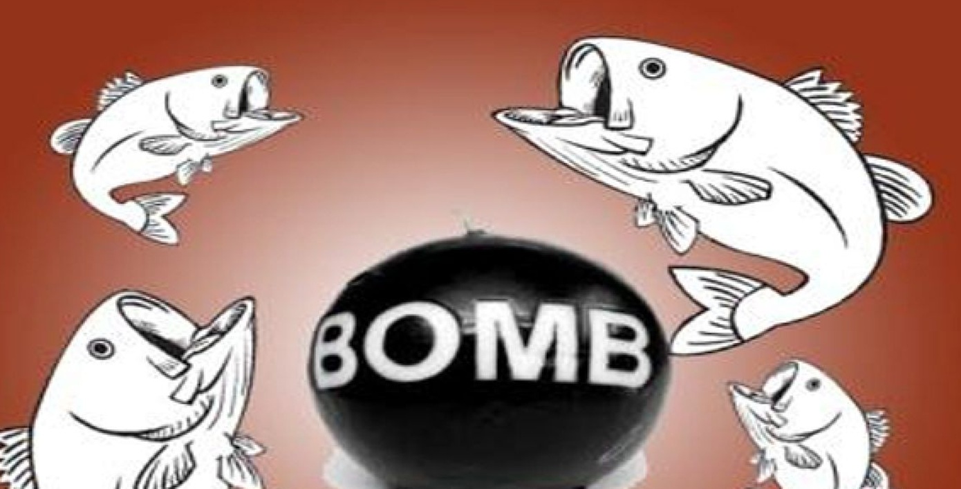 Polisi Ungkap Pelaku Bom Ikan di Perairan Taliabu, Tangkap Nelayan Pemburu Ilegal