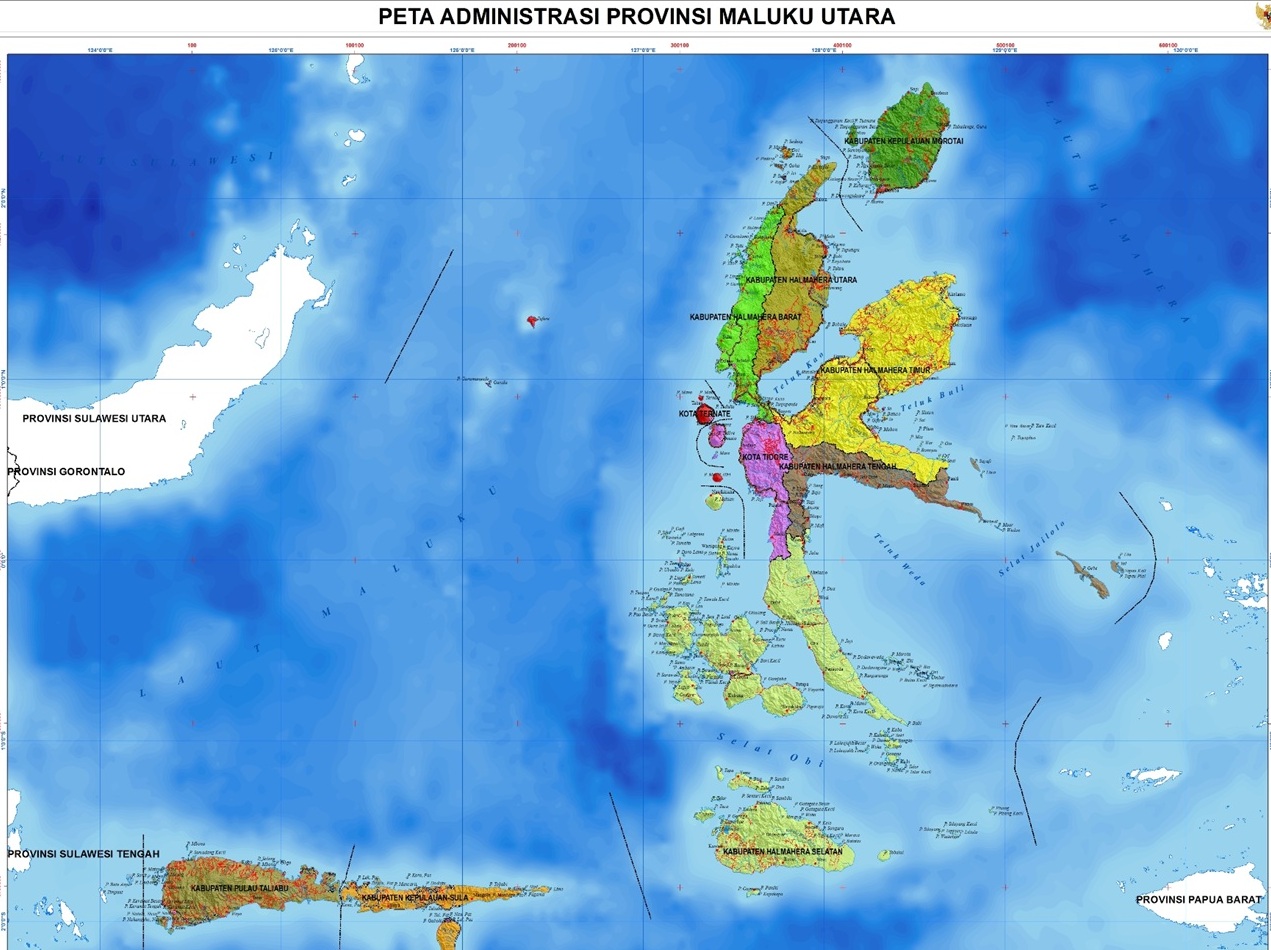 Dari Pala Dukono ke Kelapa Bido: Malut Maksimalkan Indikasi Geografis Jadi Primadona ASEAN