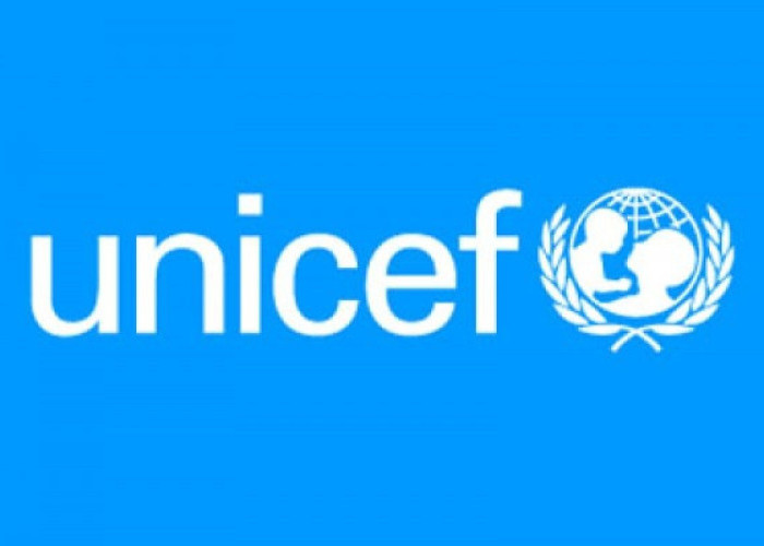 Lonjakan Ekonomi Malut: Angka Putus Sekolah Tembus 34 Ribu Anak, UNICEF Turun Tangan 