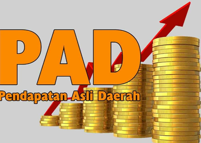 MANTAP! PAD Malut Tembus Rp1 Triliun