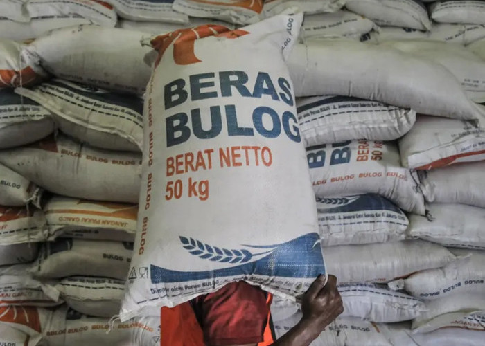 Bulog Ternate Distribusikan 1.091 Ton Beras, Targetkan Warga Miskin di Maluku Utara