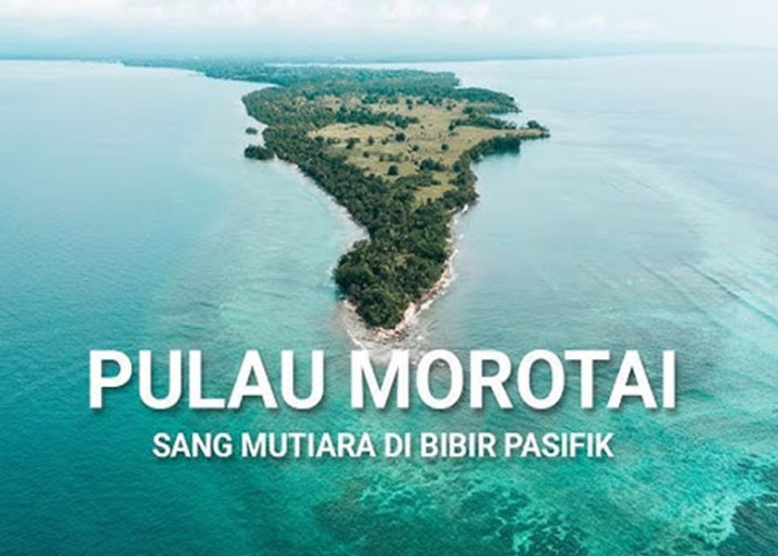 Morotai Bidik Predikat Zona Hijau Pelayanan Publik 2026