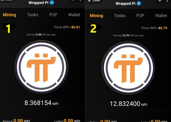 TERBONGKAR! Cara Hasilkan $10/Hari dari HP dengan Wrapped Pi ($WPI), Gak Pake Ribet! 