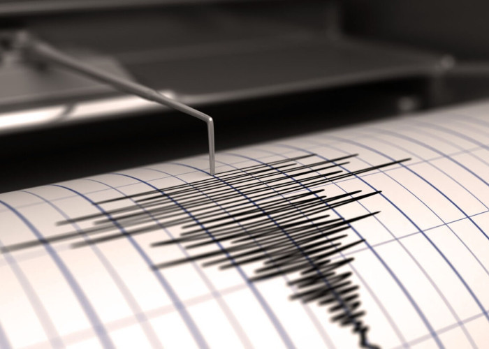 Maluku Utara Bergetar! Gempa M 4.1 Guncang Tidore, Ini Lokasi dan Kedalaman Pusatnya