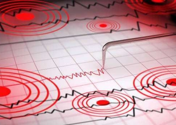 Lagi! Daruba Malut Diguncang Gempa 2.6 Magnitudo