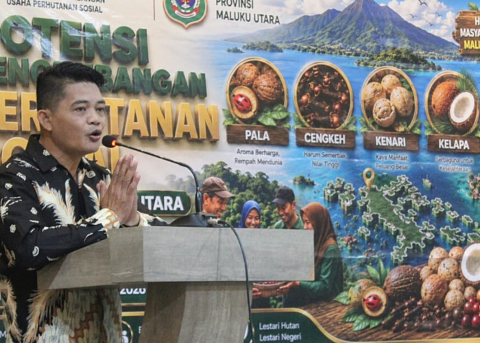Pemprov Malut Genjot Nilai Tambah 250 Ribu Hektare Perhutanan Sosial