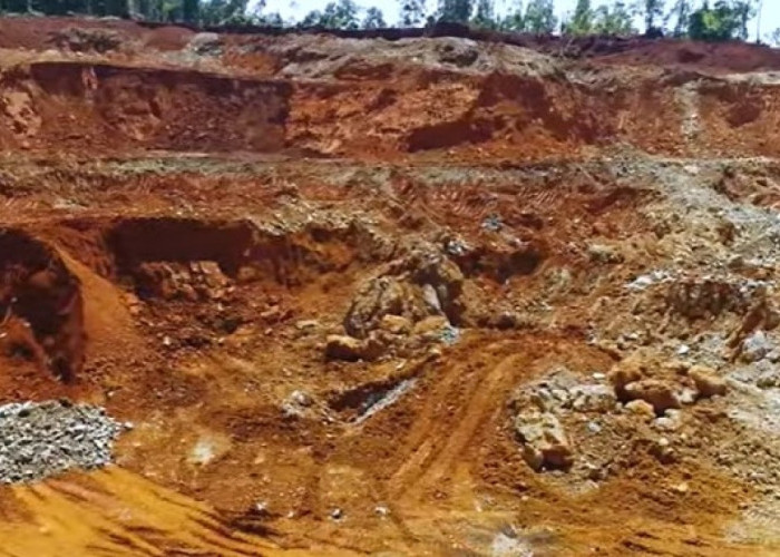 Lahan Eks Tambang Maluku Utara Disulap Jadi Sentra Perikanan dan Perkebunan, Ini Rencananya