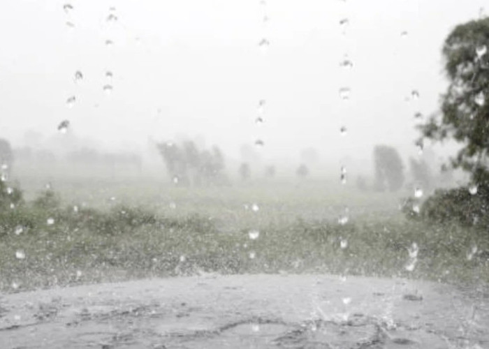 Waspada Gelombang Tinggi! Polda Malut Siagakan Warga Hadapi Cuaca Ekstrem