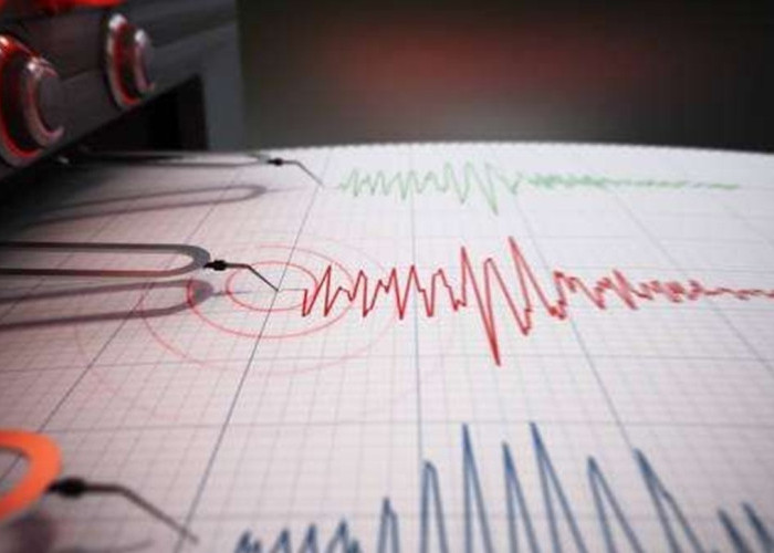 Gempa Bumi Magnitudo 3.0 Goyang Halmahera Utara 