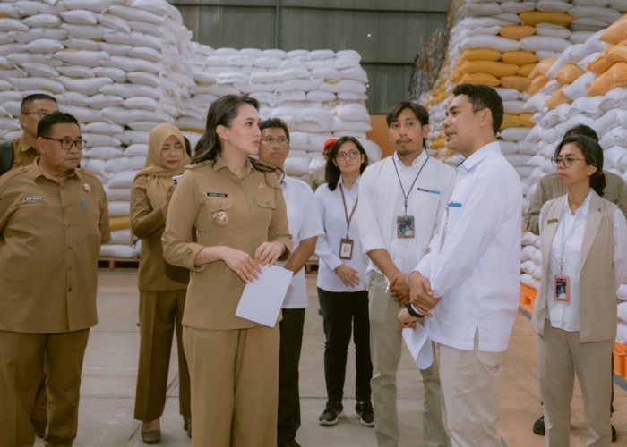 Jaga Ketahanan Pangan, Gubernur Sherly Pastikan Gudang Bulog Penuhi Standar Mutu