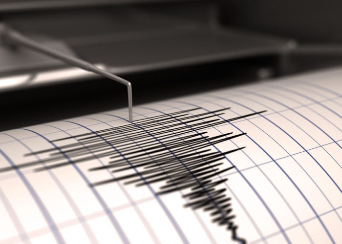 Guncangan Gempa 4.4 Magnitudo Kejutkan Halmahera Barat