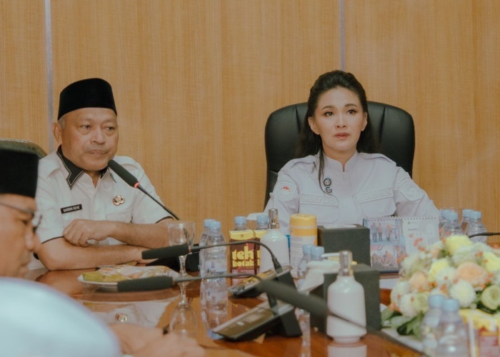 Tunggakan Pajak Perusahaan Tambang di Malut Capai Rp9 Miliar, Begini Sikap Gubernur Sherly 