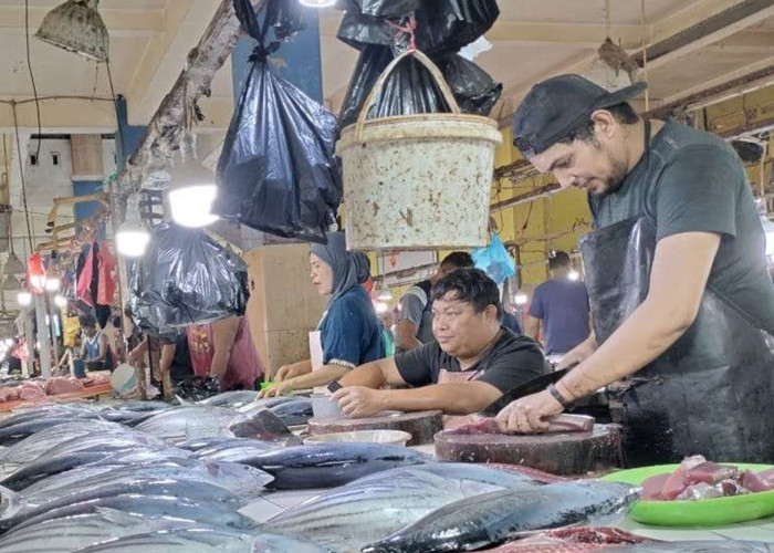 Harga Ikan Cakalang Turun, Maluku Utara Catat Deflasi 1.9% di Agustus 2025