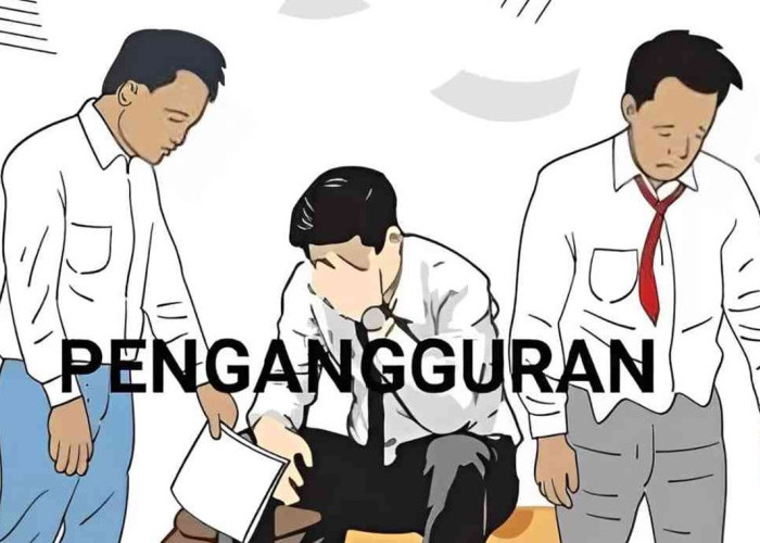 Waduh! Jumlah Pengangguran di Malut Naik