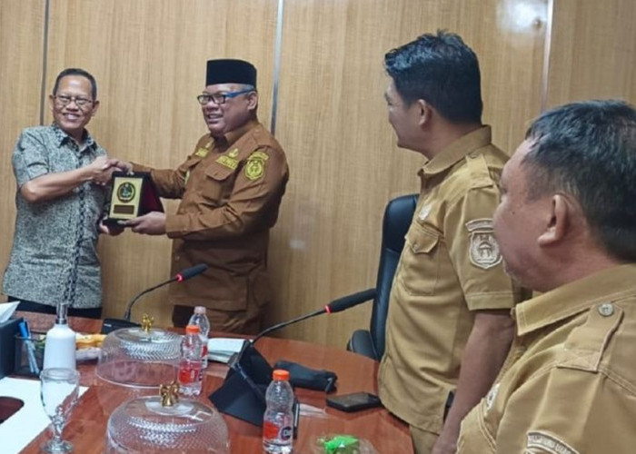 APHI & Pemprov Malut Sulap 739 Ribu Hektare Hutan Jadi Pusat Agroforestri dan Perdagangan Karbon