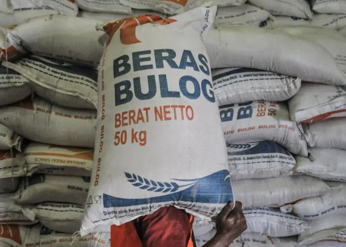 Bulog Kirim 270 Ton Beras Super untuk Masyarakat Ternate