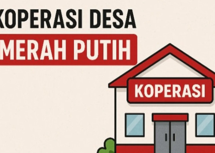 1.185 Koperasi Merah Putih Siap Dongkrak Ekonomi Desa di Malut, Ini Sebarannya