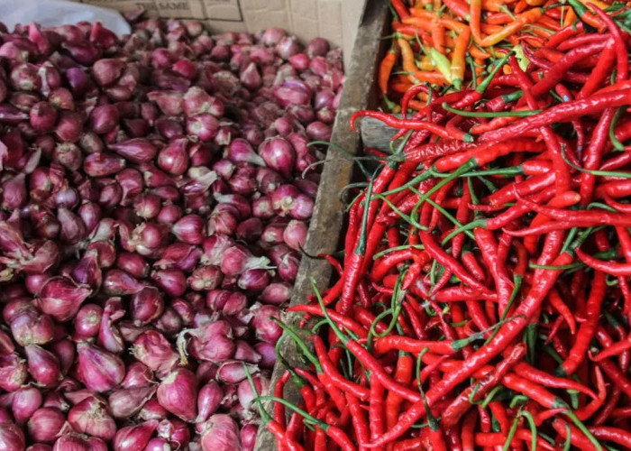 Update Harga Pangan Malut: Cabe Merah Makin Pedas, Bawang Merah Turun 