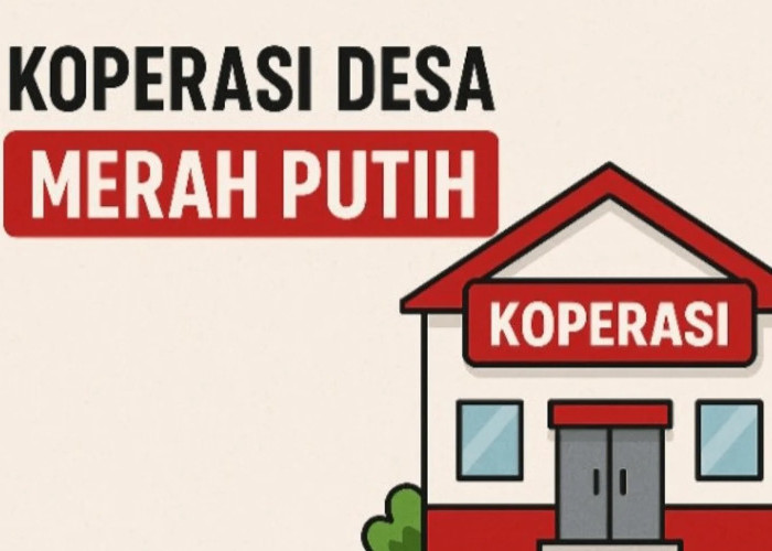 1.185 Koperasi Desa di Maluku Utara Resmi Kantongi Legalitas Hukum