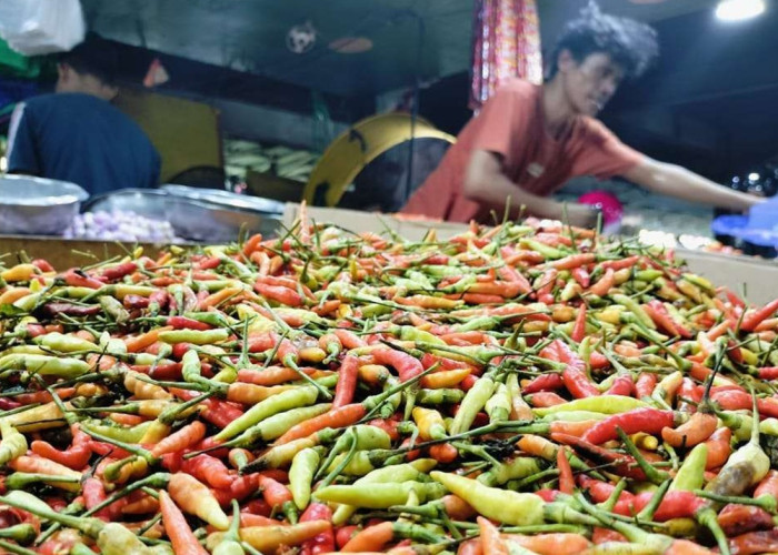 Harga Cabai Rawit Melonjak, Pemicu Inflasi Juli Maluku Utara