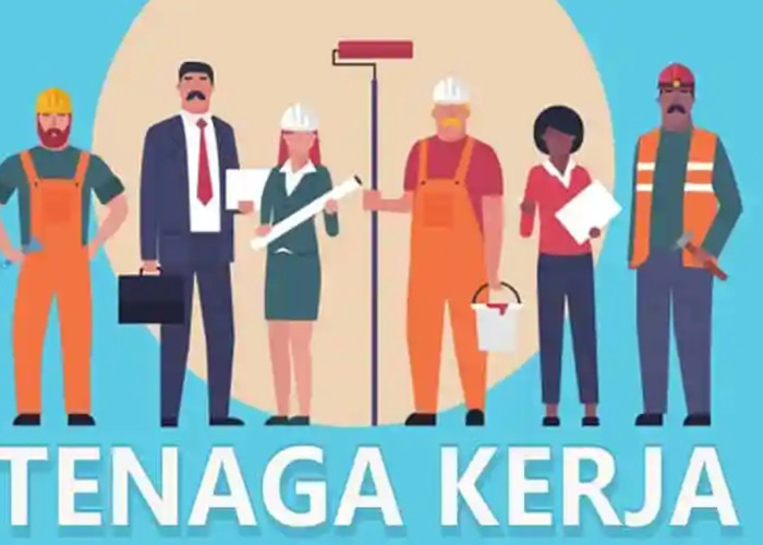 Tren Ketenagakerjaan Maluku Utara 2025: Partisipasi Angkatan Kerja Naik, Pengangguran Bertambah
