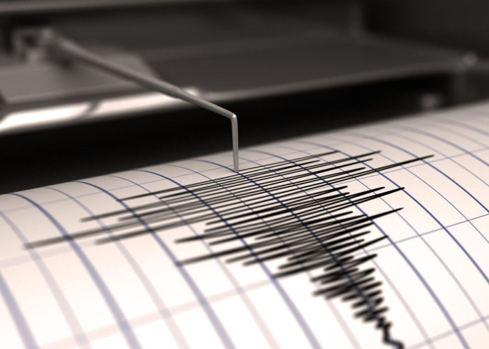 Gempa 3.9 Magnitudo Goyang Maba! Apa yang Sebenarnya Terjadi di Halmahera Timur?