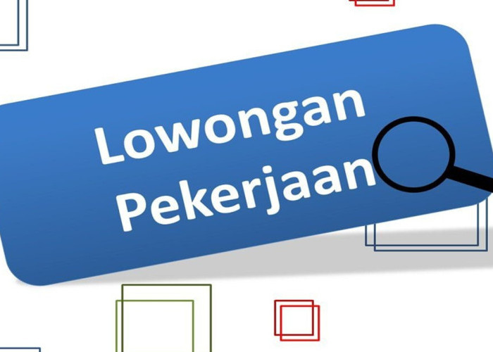 Ribuan Lowongan Dibuka di Malut! Ayo Serbu Bursa Kerja 2025
