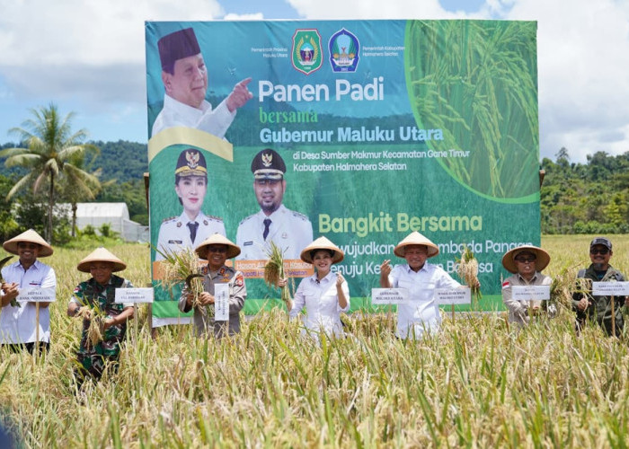 Maluku Utara Gaspol Penguatan Ketahanan Pangan: Strategi Cerdas Menuju Kemandirian