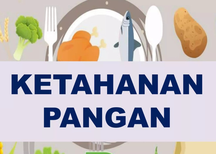 Peta Ketahanan Pangan Maluku Utara 2025: Pilar Kesejahteraan dan Kemandirian Masyarakat