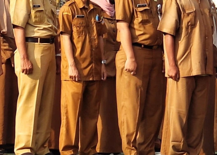 Diam-diam ASN Maluku Utara Kini Diawasi Aplikasi! Ini Cara Pemerintah Pantau Kinerja Pegawai Setiap Hari