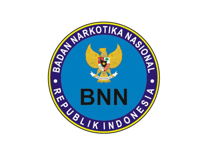 BNNP Malut Luncurkan Operasi Besar-besaran Terkait Narkoba