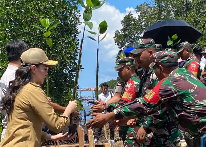 Stop Tebang Mangrove! Gubernur Sherly Bersama TNI & Masyarakat Gerakkan Revitalisasi Ekosistem