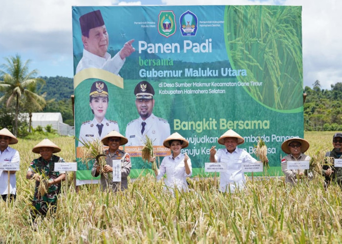 Sumber Makmur Panen Raya, Strategi Jitu Perkuat Ketahanan Pangan Maluku Utara