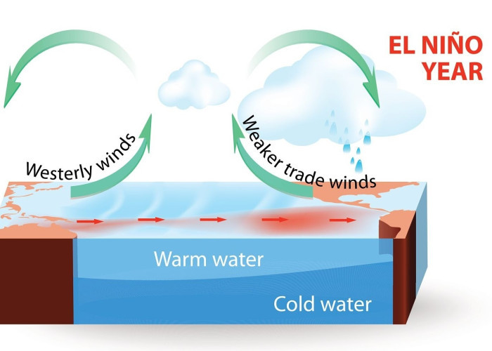 El Nino Sangat Kuat Mengintai Maluku Utara, 6 Wilayah Terancam Kekeringan Ekstrem