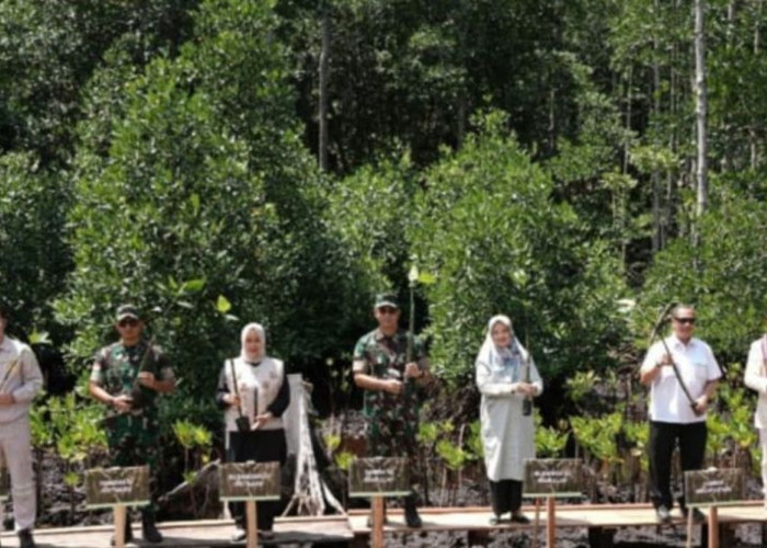 Gubernur Malut & Pangdam Gelar Aksi Heroik Tanam 1 Juta Mangrove di Wilayah Industri IWIP