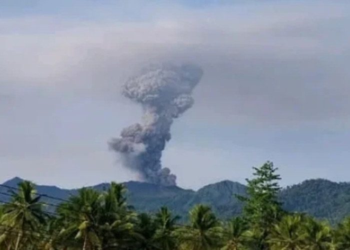 Gunung Dukono Erupsi Semburkan Abu Vulkanik Raksasa, Status Waspada Level II
