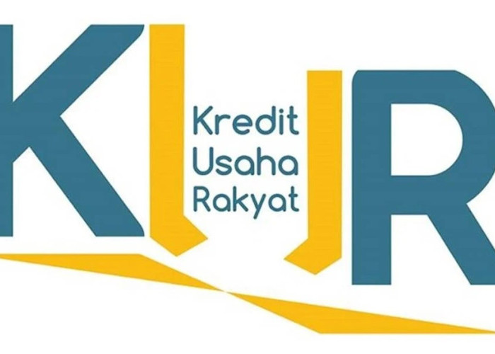 Kredit Usaha Rakyat Maluku Utara 2025: Siapa Penerima Terbesar dan Sektor Paling Dilirik