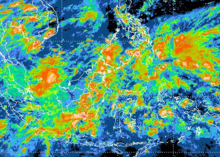 Gelombang Tinggi Ancam Perairan Maluku Utara! BMKG Keluarkan Peringatan Dini