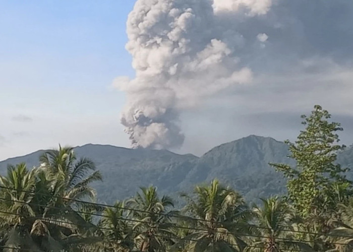 Abu Vulkanik Gunung Dukono Capai 1.600 Meter, Hindari Radius 4 Km!