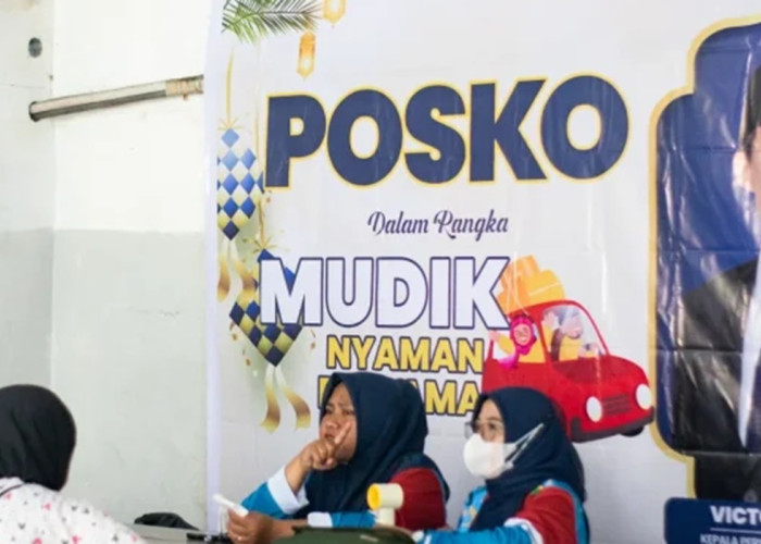 Gratis Tanpa Syarat! BKKBN Malut Hadirkan Layanan Medis di Pelabuhan Bastiong