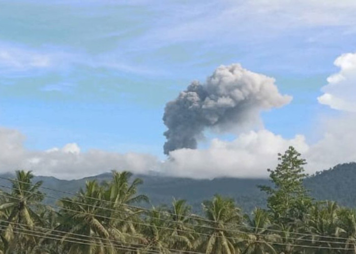Gunung Dukono Meletus Lagi! Abu Vulkanik Menerjang Halmahera Utara